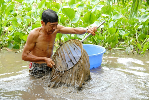 Trùn chỉ